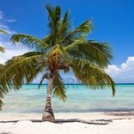 Cheap super-last minute flights from Germany to Barbados €331!